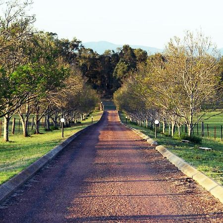 Blueberry Hill Vineyard Stay Rothbury ภายนอก รูปภาพ