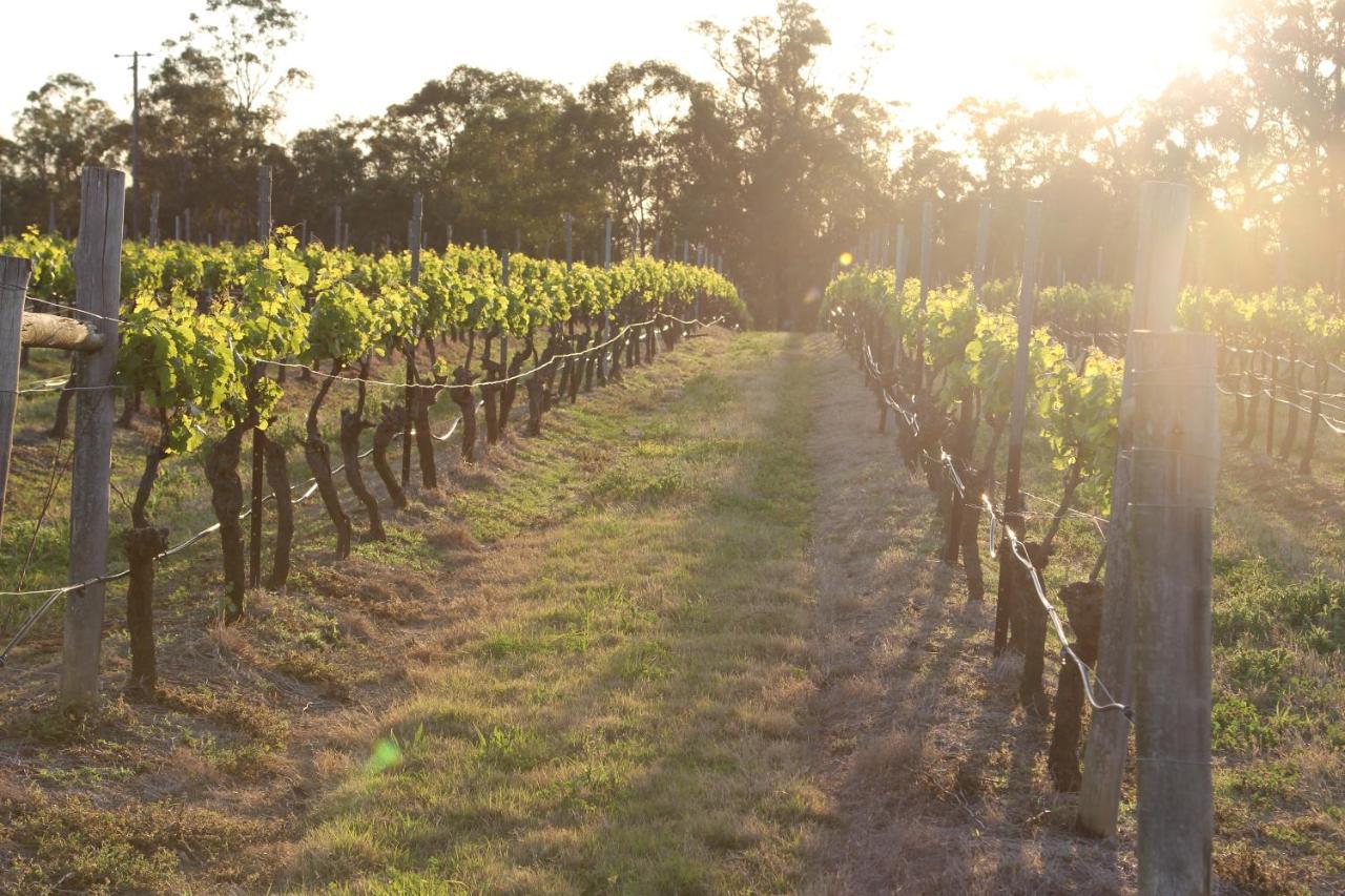 Blueberry Hill Vineyard Stay Rothbury ภายนอก รูปภาพ