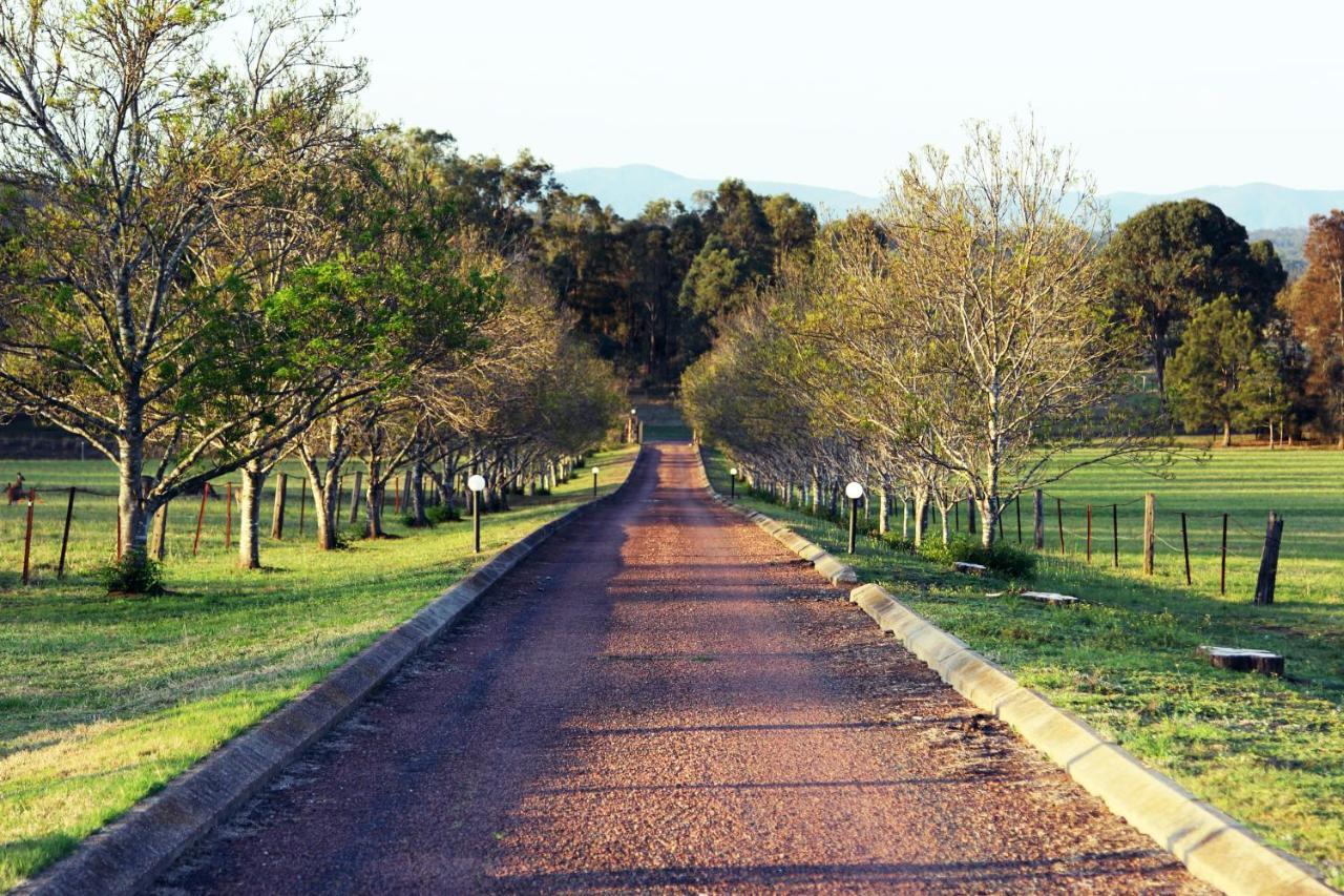 Blueberry Hill Vineyard Stay Rothbury ภายนอก รูปภาพ