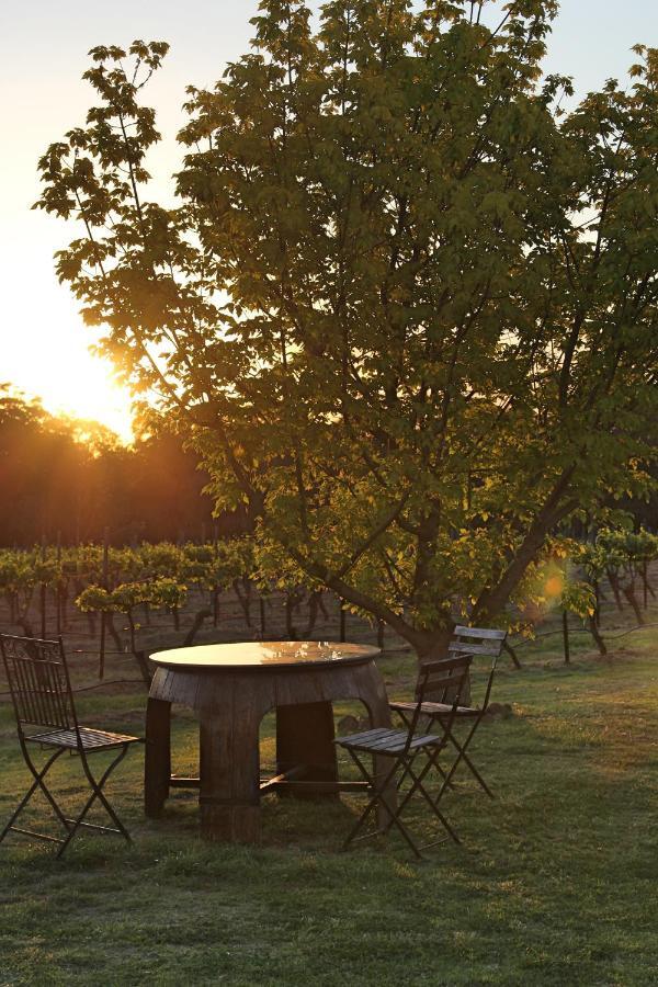 Blueberry Hill Vineyard Stay Rothbury ภายนอก รูปภาพ