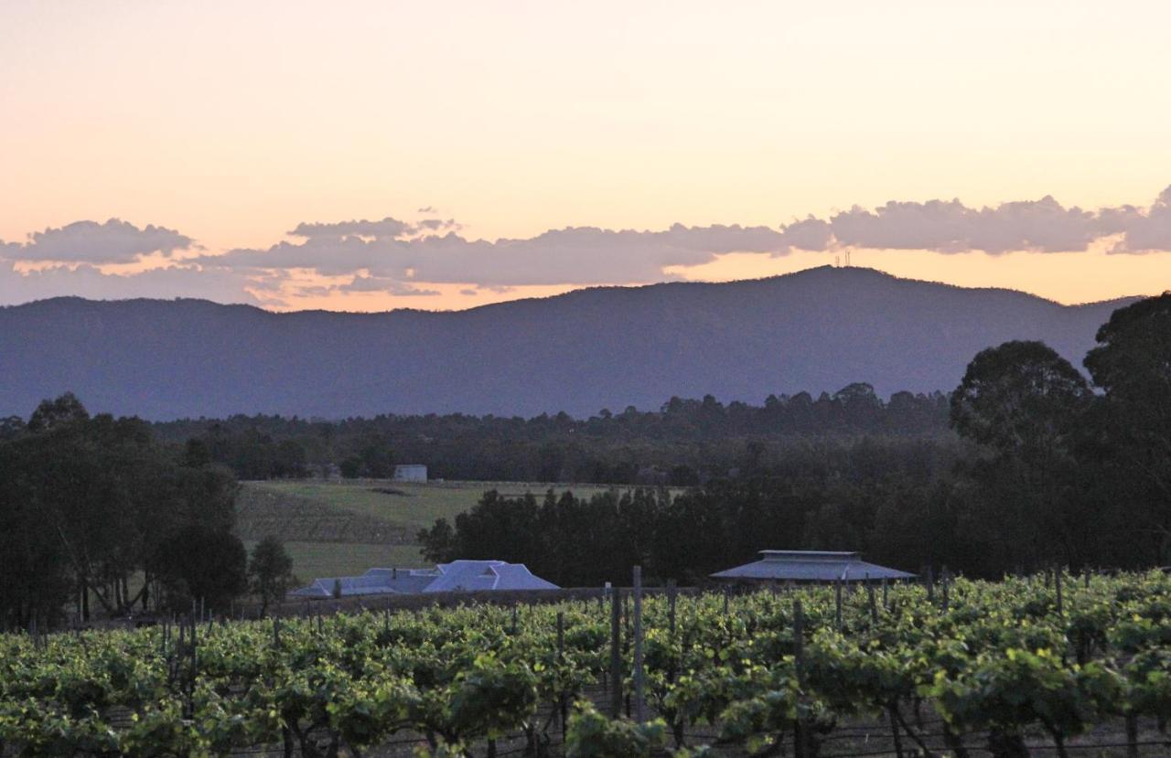 Blueberry Hill Vineyard Stay Rothbury ภายนอก รูปภาพ