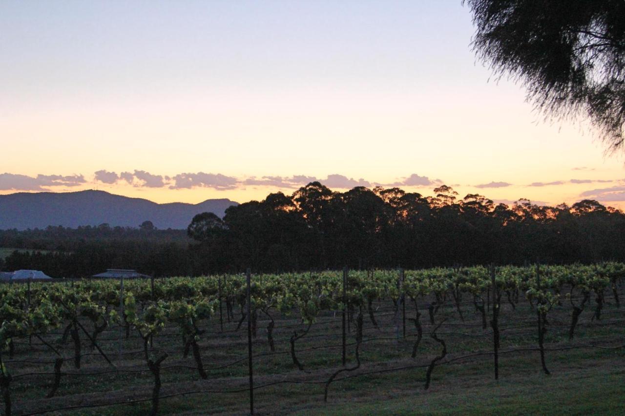 Blueberry Hill Vineyard Stay Rothbury ภายนอก รูปภาพ